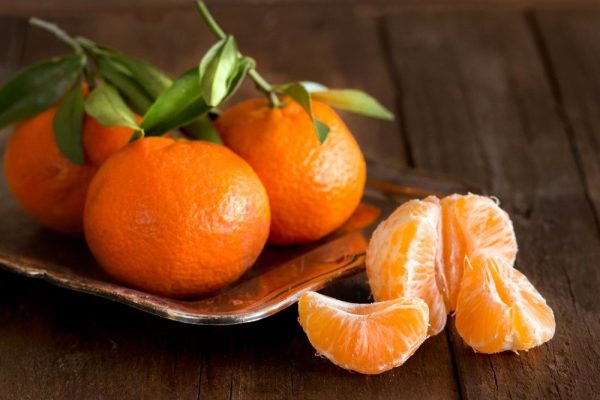 5 obľúbených citrusov vhodných do každej kancelárie