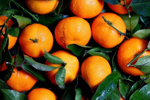 Čerstvé ovocie ako vitamíny pre zamestnancov