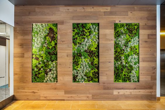 Zelená stena v kancelárskych a obchodných priestoroch (6 dôvodov, prečo by mala byť vertikálna záhrada aj vo vašich priestoroch)